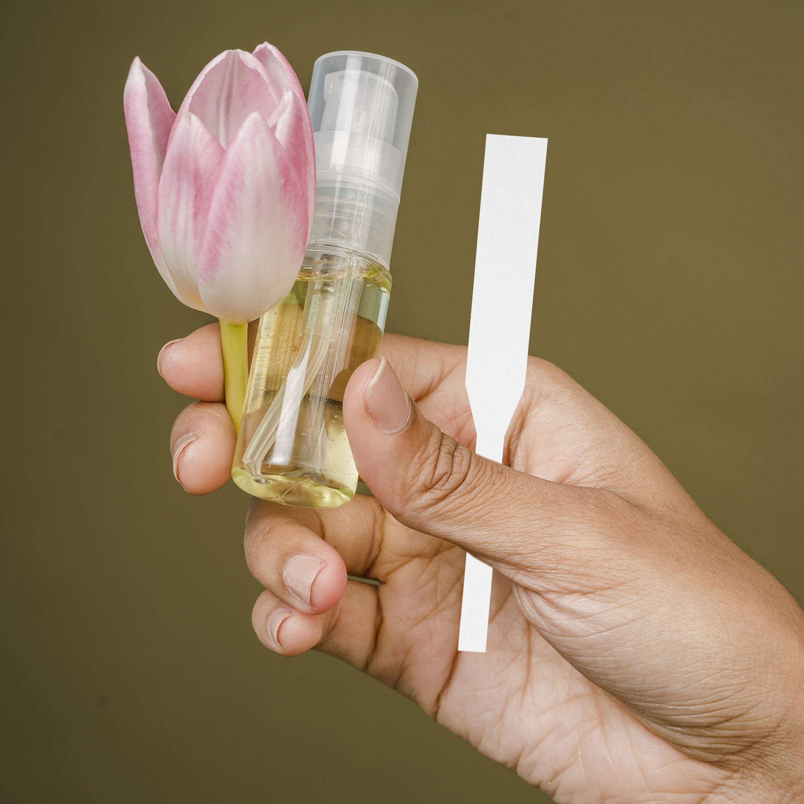 100 Strisce per Test di Profum - Perfume Fragrance Shop recensione e prezzo